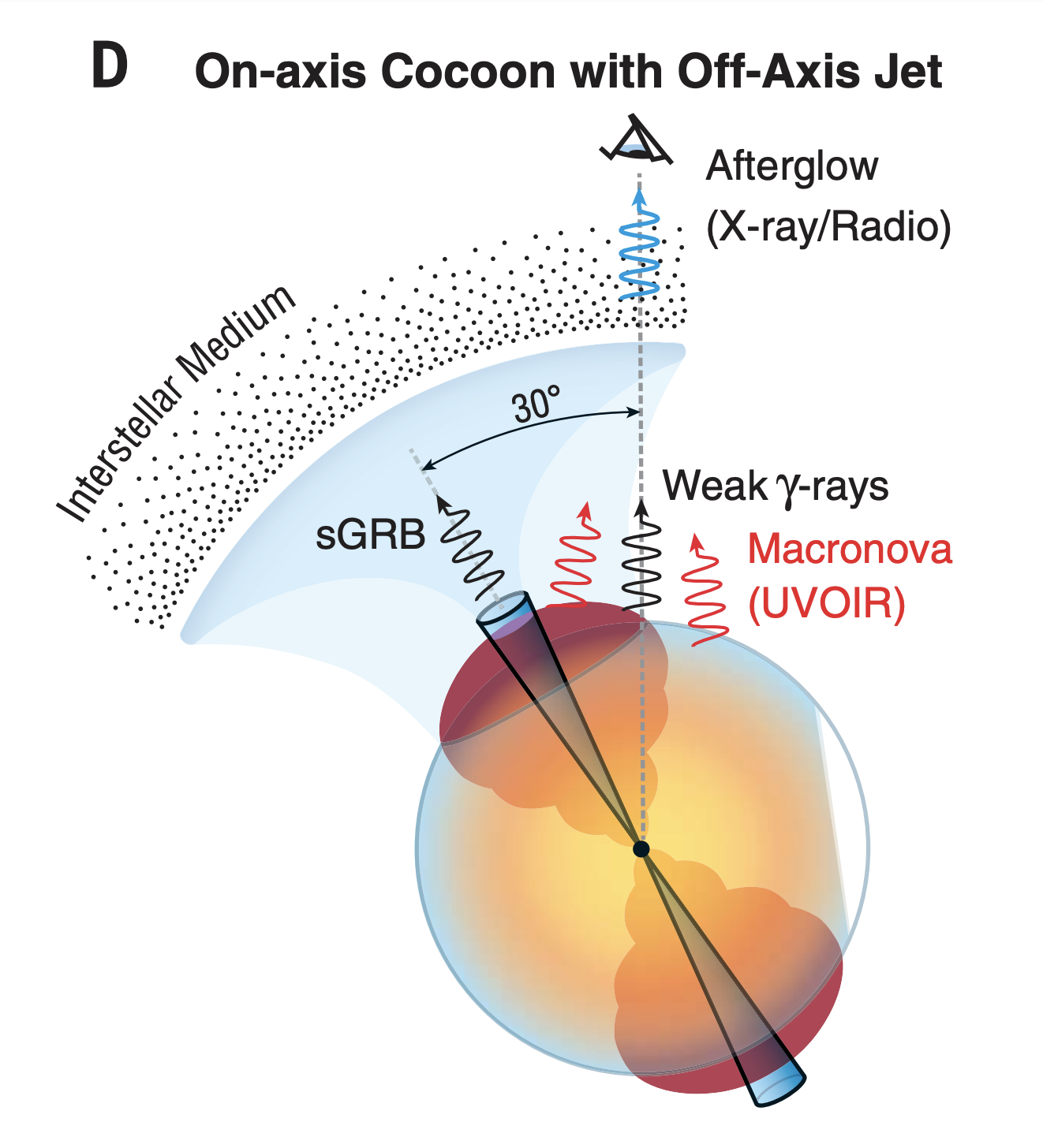 fig1