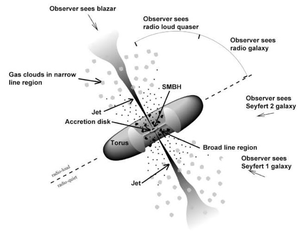 fig2