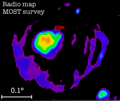 fig1